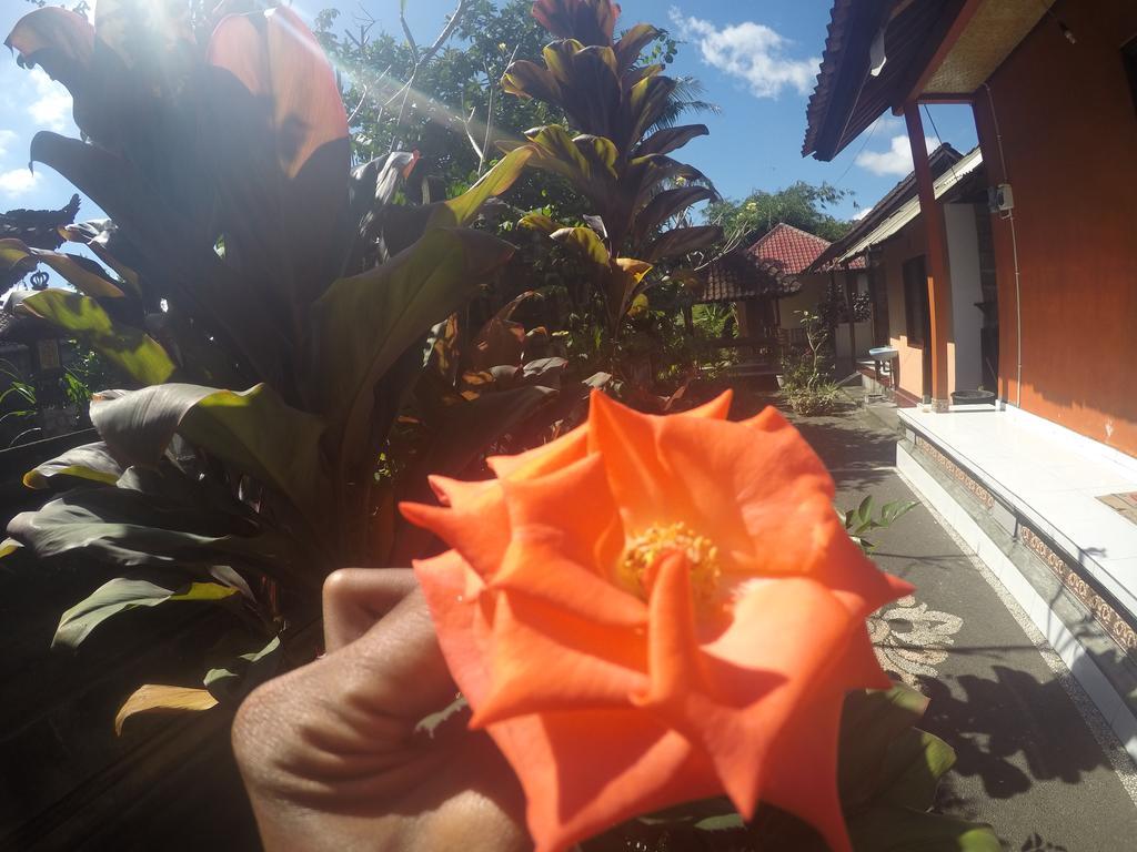 Dipa Home Stay Ubud Eksteriør bilde
