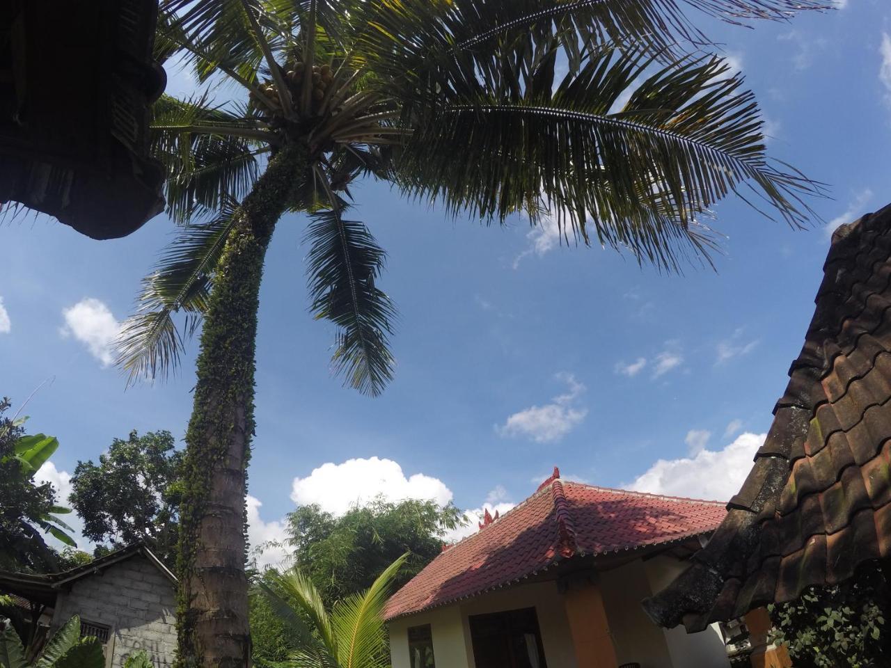 Dipa Home Stay Ubud Eksteriør bilde