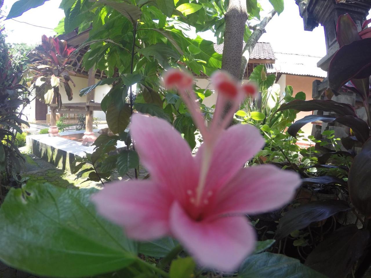 Dipa Home Stay Ubud Eksteriør bilde